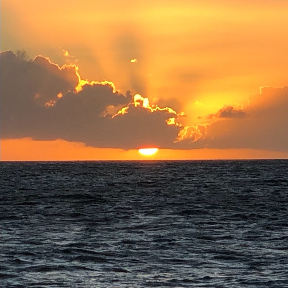 Meet your Posher, Holly